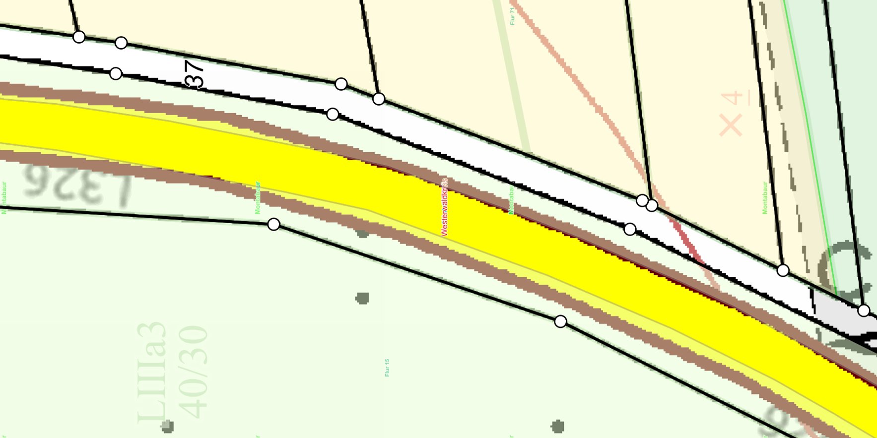 Kartenausschnitt - sichtbar sind Wegeparzellen, die im Rahmen der Flurbereinigung gekauft wurden